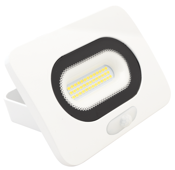 RSMDLFM_10_20_50_1_portal_800x800.png